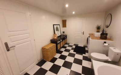 TRANSFORMATION D’UN SOUS SOL EN PIECES DE VIE